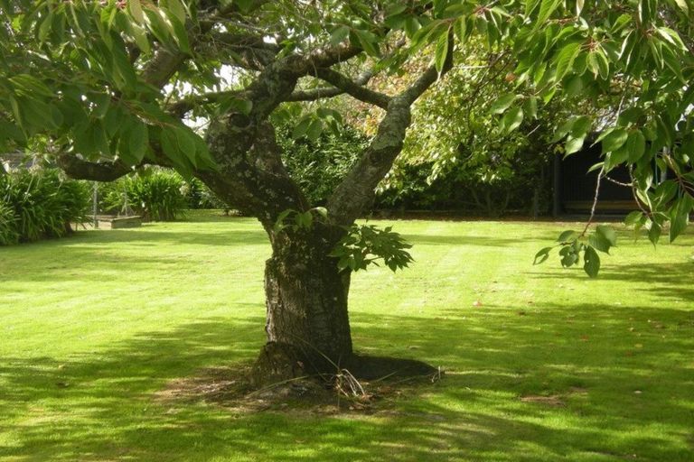 Photo of property in 46 Pennington Street, Leeston, 7632