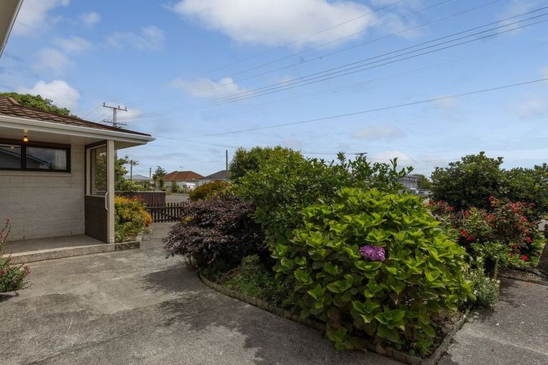 Photo of property in 50 Winchester Street, Levin, 5510