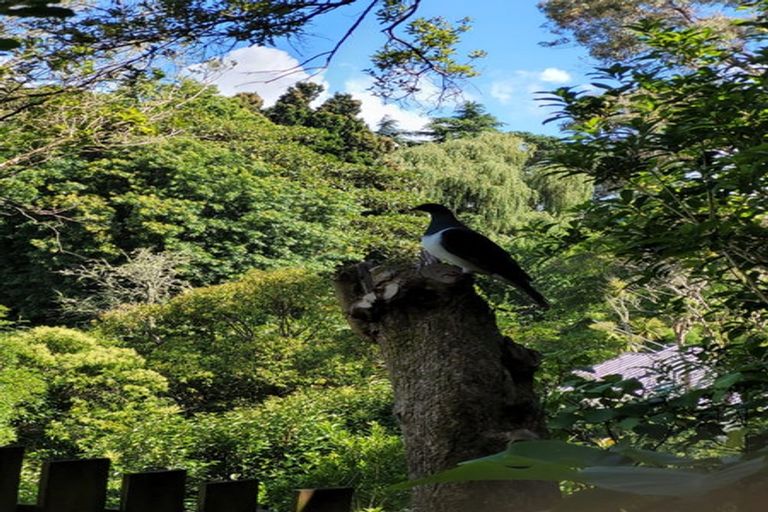 Photo of property in 2/5 Aries Place, Shelly Park, Auckland, 2014