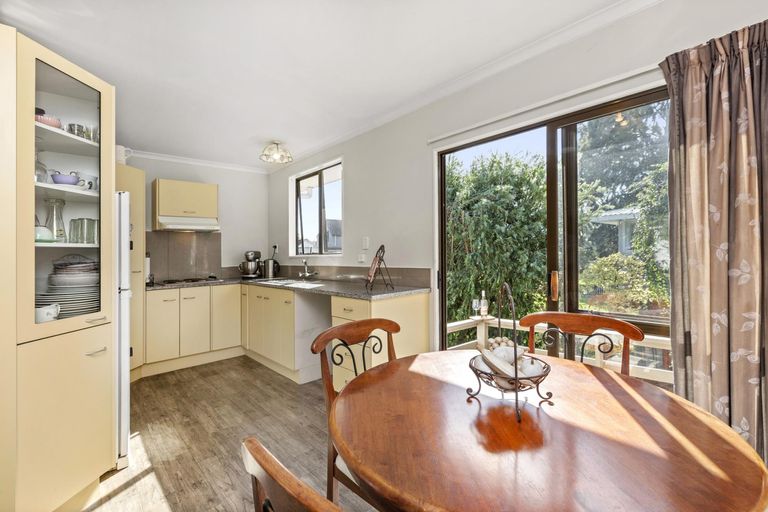 Photo of property in 41 Hibiscus Avenue, Hamilton Lake, Hamilton, 3204