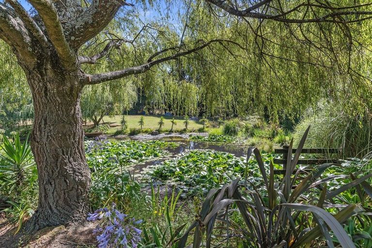 Photo of property in 23c Moorfield Road, Te Kauwhata, 3782
