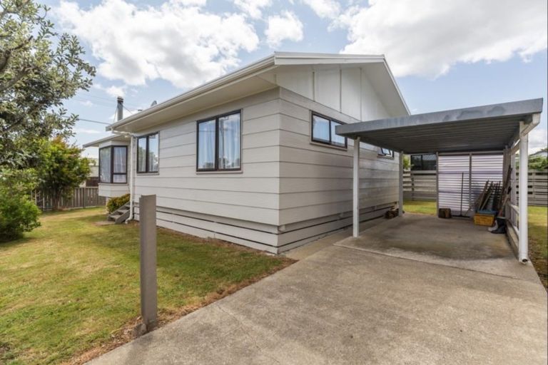 Photo of property in 9 Douglas Street, Levin, 5510