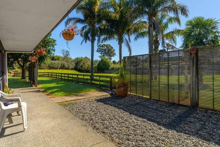 Photo of property in 249 Plummers Point Road, Whakamarama, Tauranga, 3172
