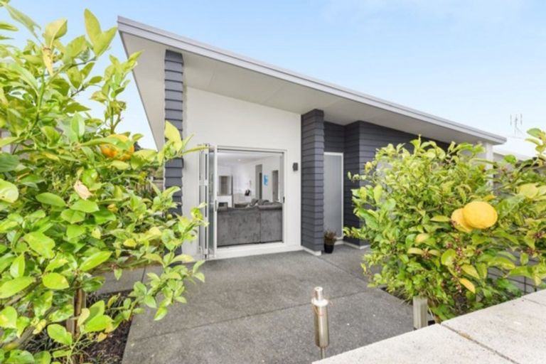 Photo of property in 6 Jacob Street, Brookfield, Tauranga, 3110