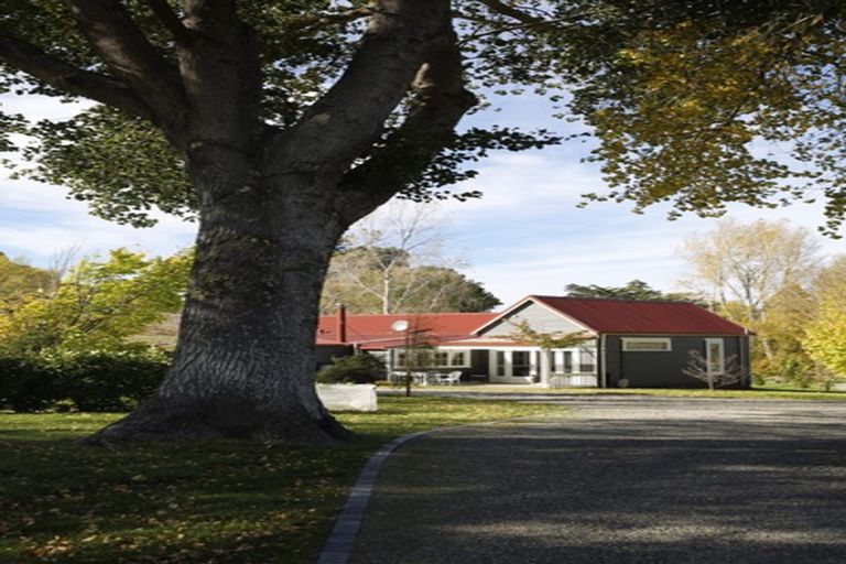 Photo of property in 4195 Masterton Castlepoint Road, Tinui, Masterton, 5889