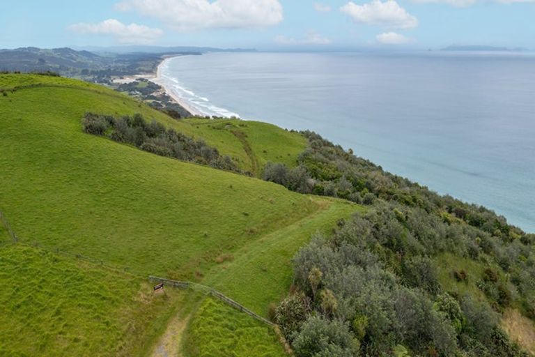 Photo of property in 55 M Greenwood Road, Leigh, 0972