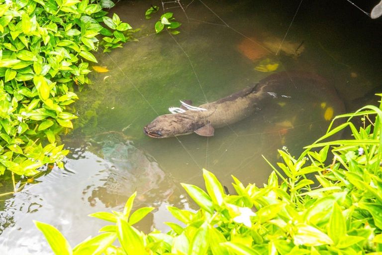 Photo of property in 34 Dawson Street, Pahiatua, 4910