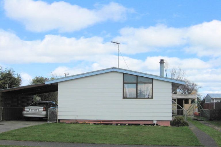 Photo of property in 63 Strathmore Avenue, Levin, 5510