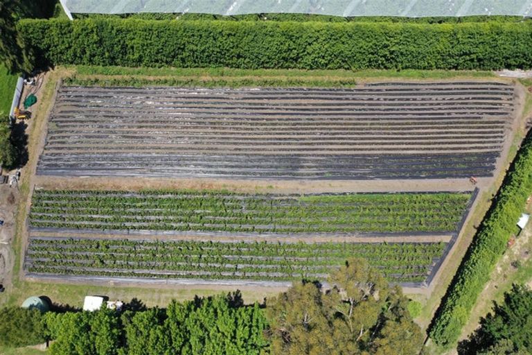 Photo of property in 1568a Old Coach Road, Pukehina, 3186