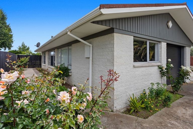 Photo of property in 40 Arawa Road, Whakatane, 3120