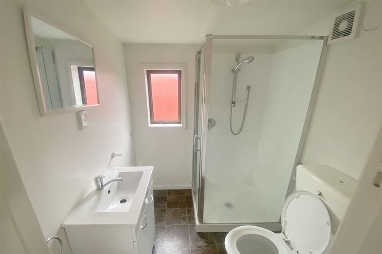 Photo of property in 102 Barbour Street, Waltham, Christchurch, 8011