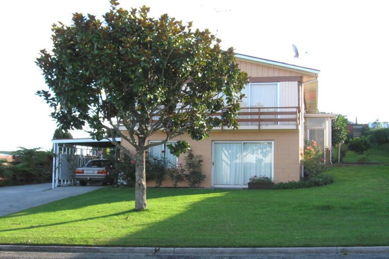 Photo of property in 12 Thornton Street, Putaruru, 3411
