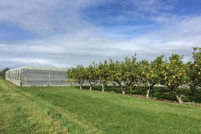 Photo of property in 344 Drury Hills Road, Drury, 2577