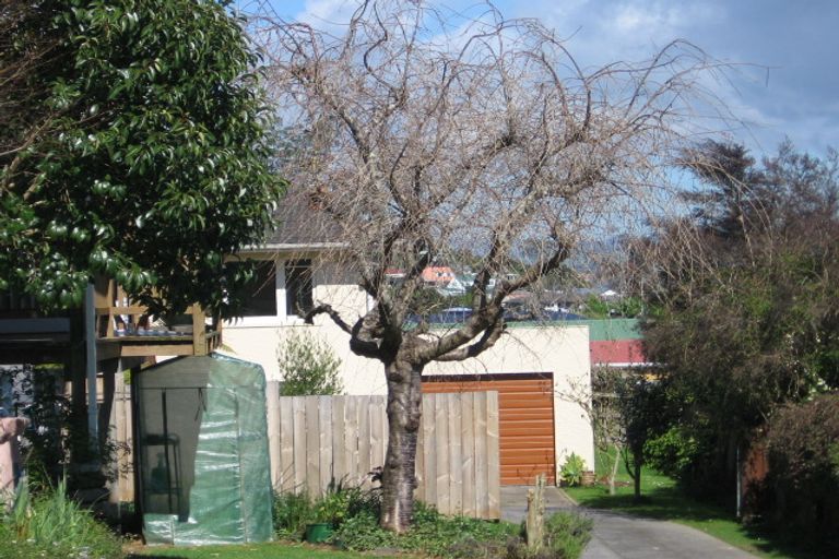 Photo of property in 22 Faulkner Street, Gate Pa, Tauranga, 3112