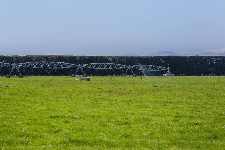 Photo of property in 706 Burnham School Road, Burnham, 7677