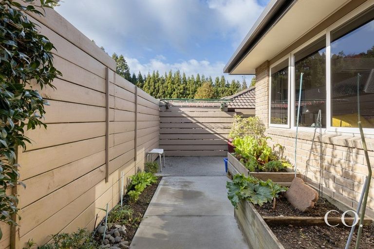 Photo of property in 4 Arthur Grove, Bethlehem, Tauranga, 3110