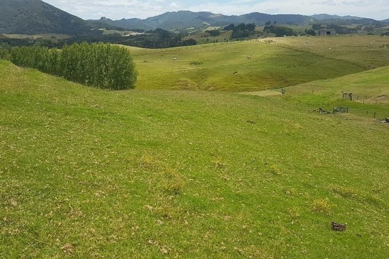 Photo of property in 117 Kaiwaka-mangawhai Road, Kaiwaka, Wellsford, 0975