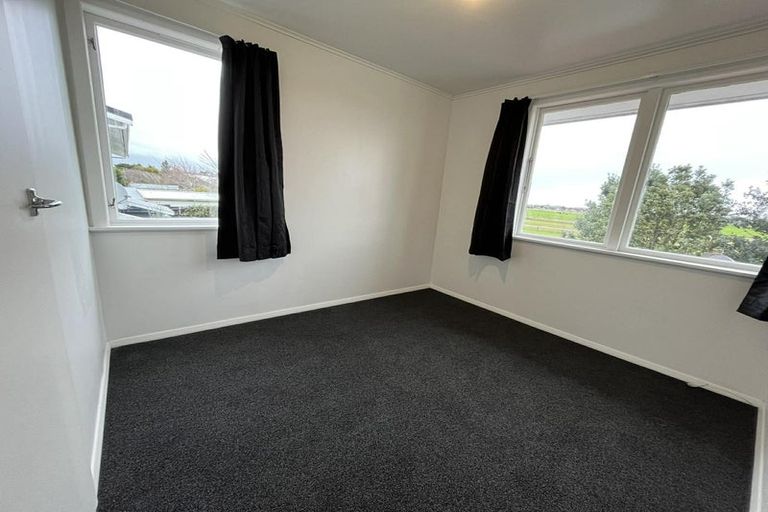 Photo of property in 20 Mahoe Street, Levin, 5510
