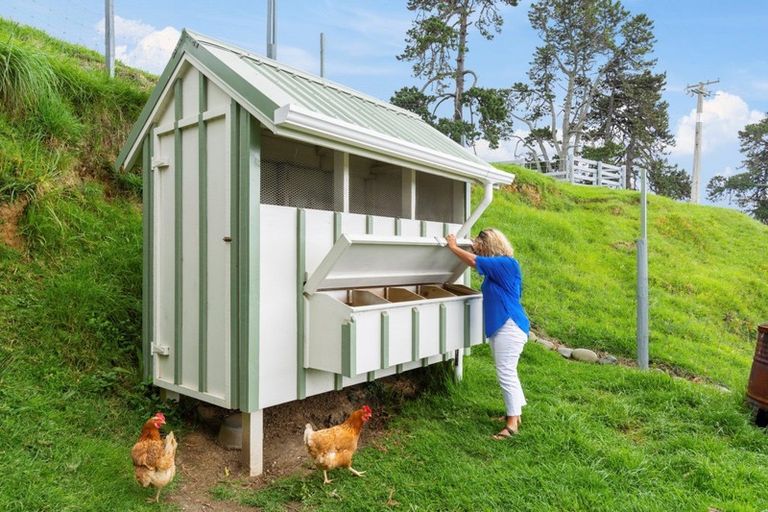 Photo of property in 32 Lowe Road, Whakamarama, Tauranga, 3180