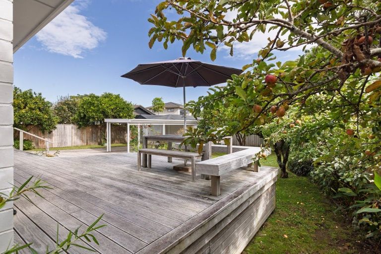 Photo of property in 318 Maungatapu Road, Maungatapu, Tauranga, 3112
