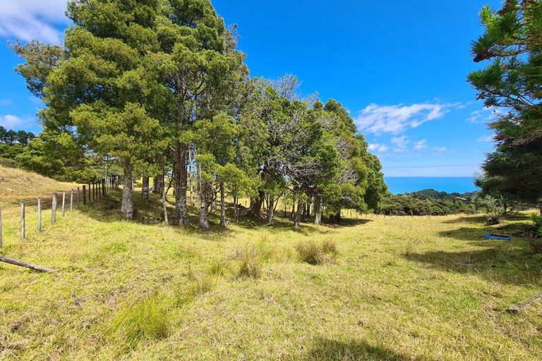 Photo of property in 1702 Colville Road, Amodeo Bay, Coromandel, 3584
