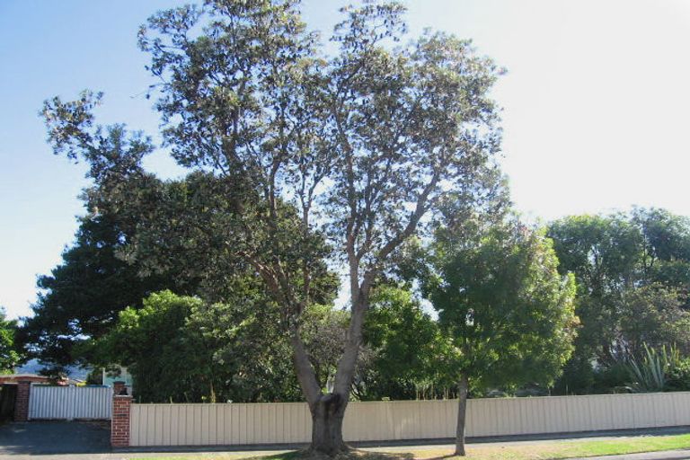 Photo of property in 107 Gibbons Street, Elderslea, Upper Hutt, 5018