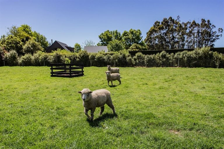Photo of property in 408 Bradleys Road, Ohoka, Kaiapoi, 7692