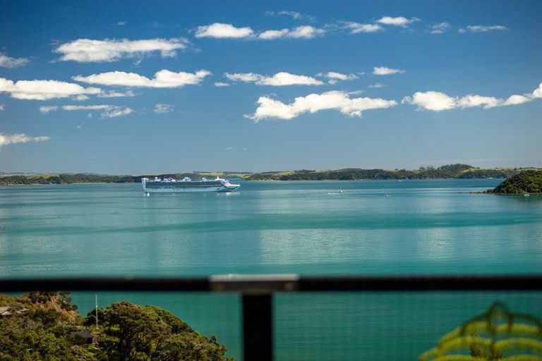 Photo of property in 202 Te Wahapu Road, Russell, 0272