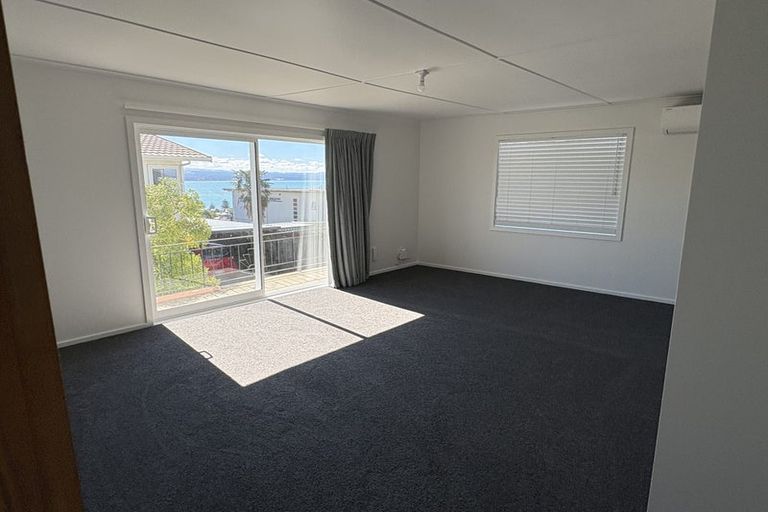 Photo of property in 1/4 George Street, Hospital Hill, Napier, 4110