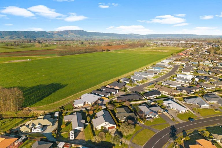 Photo of property in 21 Maple Place, Matamata, 3400