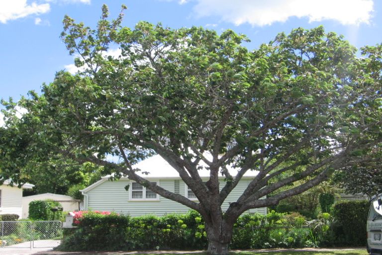 Photo of property in 7 Kiwi Street, Matamata, 3400