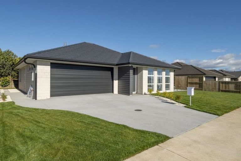 Photo of property in 77 Bert Wall Drive, Omokoroa, 3114