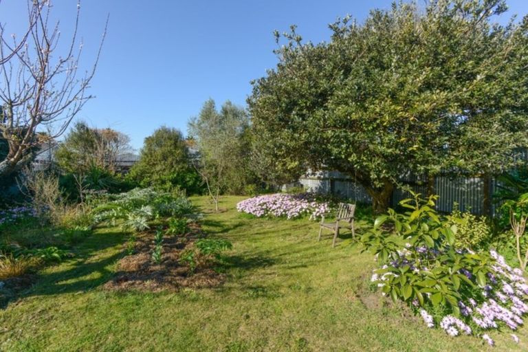 Photo of property in 69 Vigor Brown Street, Napier South, Napier, 4110