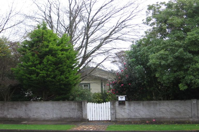 Photo of property in 31 Sussex Street, Levin, 5510