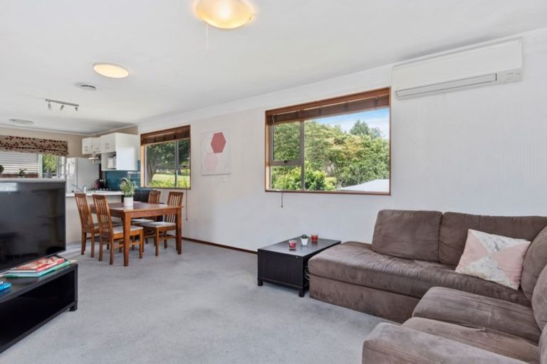 Photo of property in 220 Fraser Street, Tauranga South, Tauranga, 3112