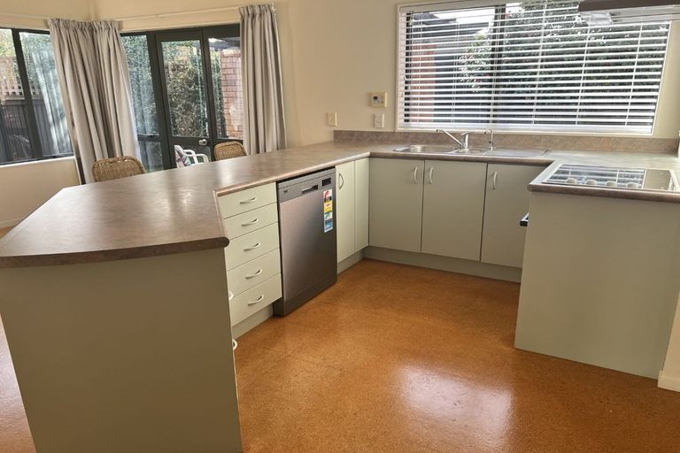 Photo of property in 20a Peachgrove Road, Hamilton East, Hamilton, 3216