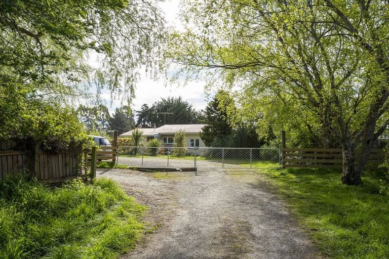 Photo of property in 42 Falcon Street, Palmerston, 9430