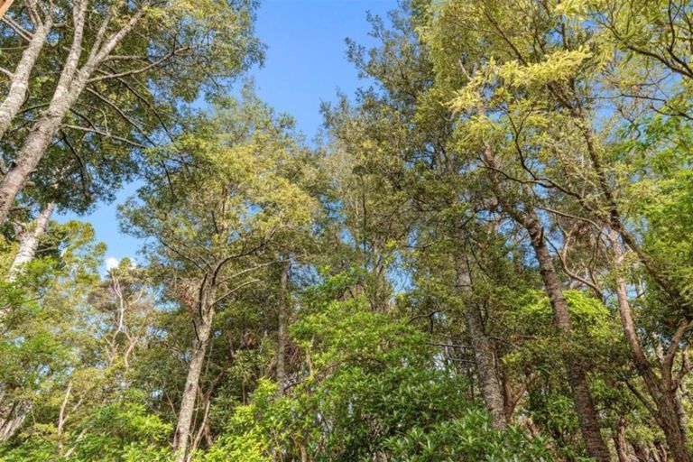 Photo of property in 42a Rangatira Road, Birkenhead, Auckland, 0626