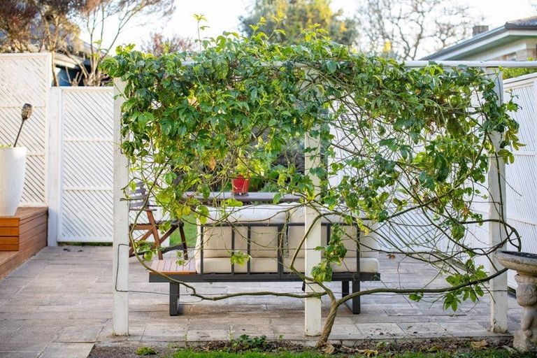 Photo of property in 108 Fox Street, Hamilton East, Hamilton, 3216