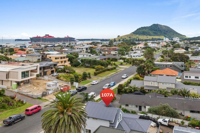 Photo of property in 107a Oceanview Road, Mount Maunganui, 3116