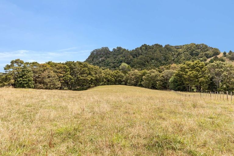 Photo of property in 645 West Coast Road, Oratia, Warkworth, 0604