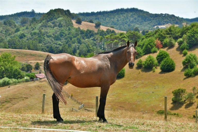 Photo of property in 173 Bayer Road, Puhoi, Silverdale, 0994