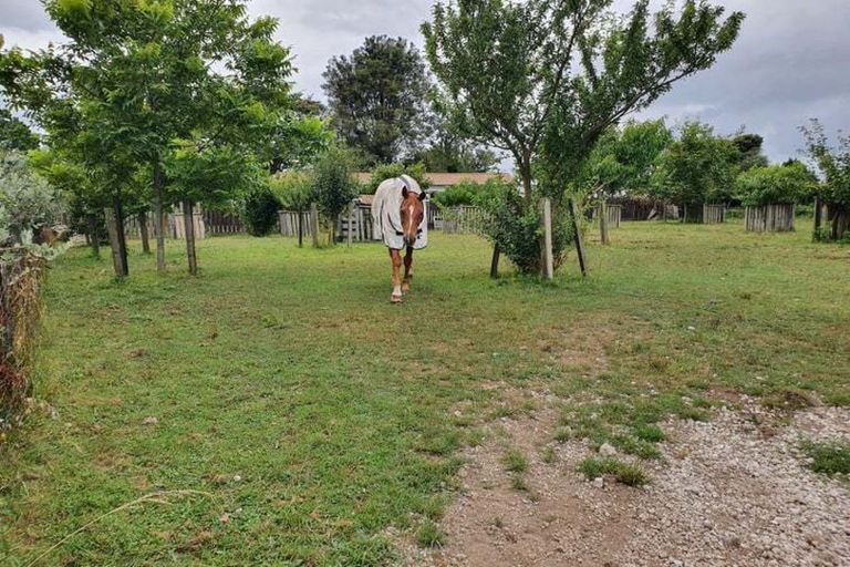 Photo of property in 568 Te Ngae Road, Owhata, Rotorua, 3010