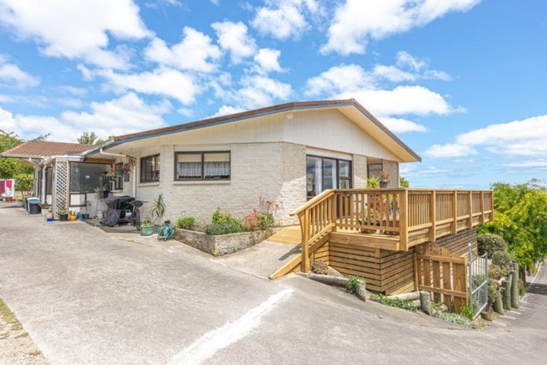 Photo of property in 93 Mount View Road, Bastia Hill, Whanganui, 4500