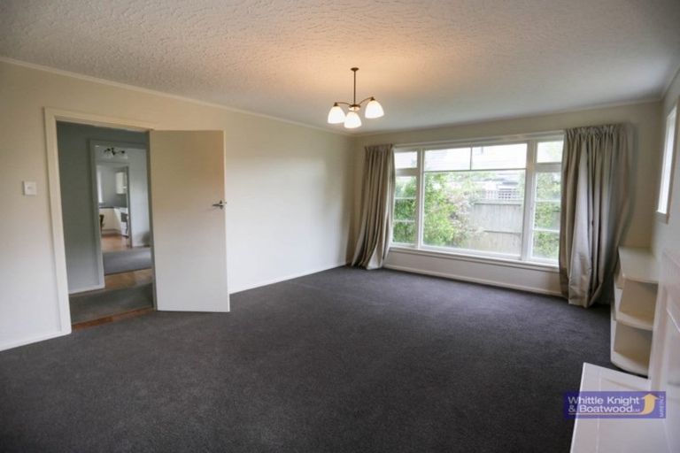 Photo of property in 56 Puriri Street, Riccarton, Christchurch, 8041