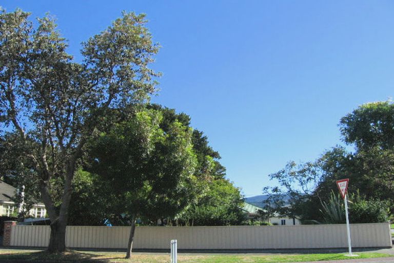 Photo of property in 107 Gibbons Street, Elderslea, Upper Hutt, 5018