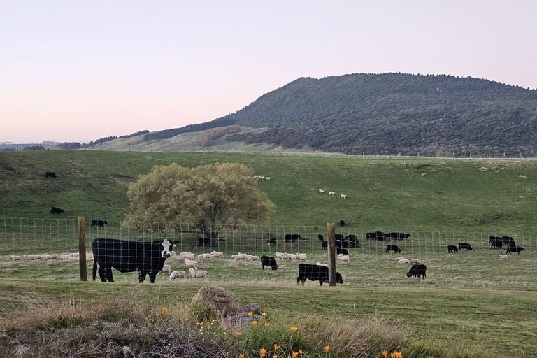 Photo of property in 114 Te Puke Road, Kuratau, Turangi, 3381