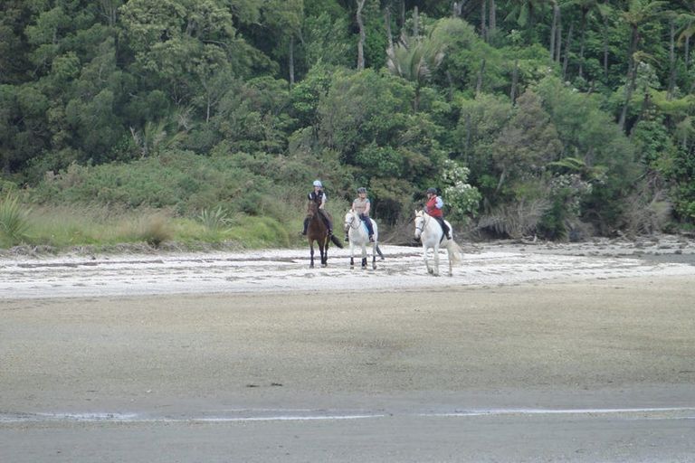 Photo of property in 109 Okura River Road, Okura, Auckland, 0792