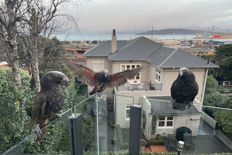 Photo of property in 8b Frandi Street, Thorndon, Wellington, 6011