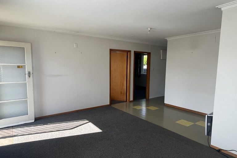 Photo of property in 117 Victoria Avenue, Hokowhitu, Palmerston North, 4410